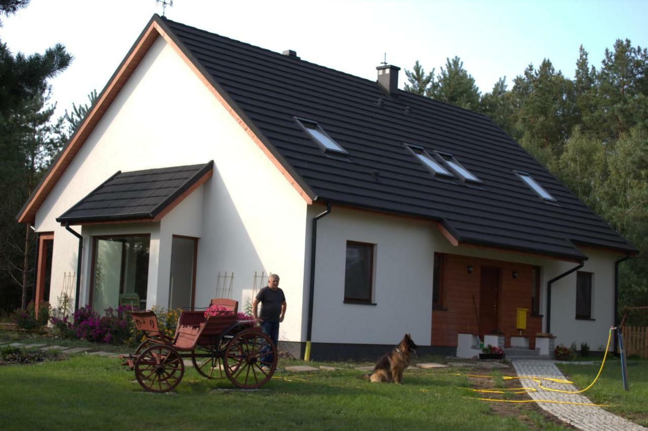 Koci Grzbiet Agroturystyka Dzierzazno Wielkie Exterior photo